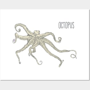 Octopus #01 Posters and Art